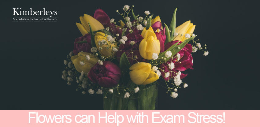 Flowers can Help with Exam Stress