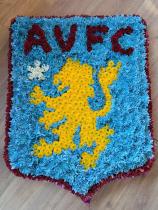 Bespoke Aston Villa Tribute