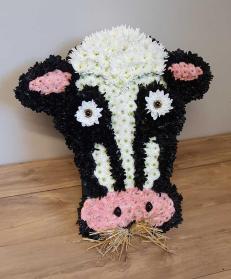 Cow tribute for farmer