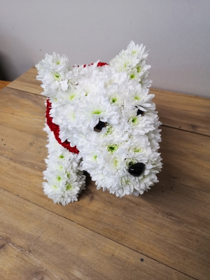 Creating a bespoke Westie dog floral tribute