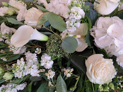 25 Years of Love and Blooms