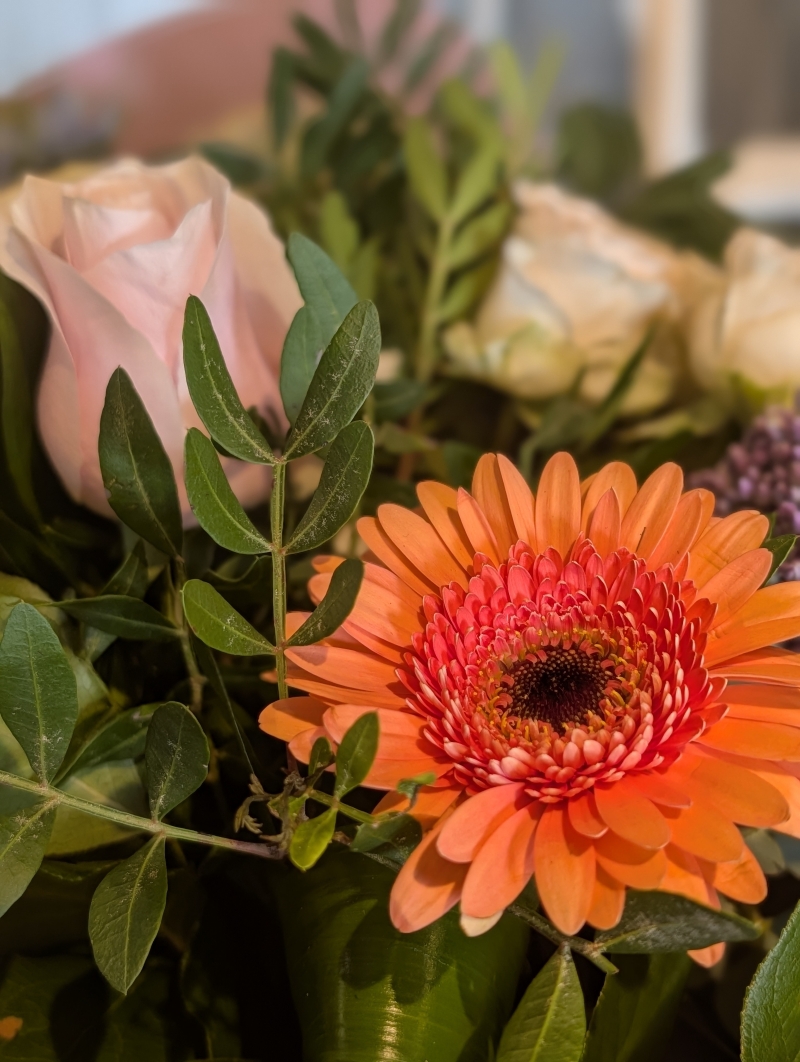 pink and purple handtied flower bouquet in a gift bag