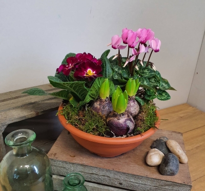 gift wrapped outdoor garden planter 