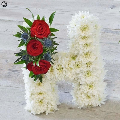 white flower based funeral tribute letter with red rose spray