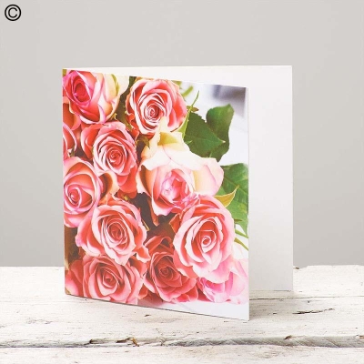 pink rose blank greeting card