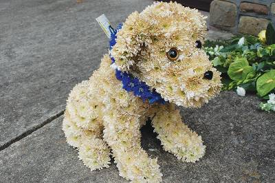 3d Dog shaped funeral tribute based in flowers 