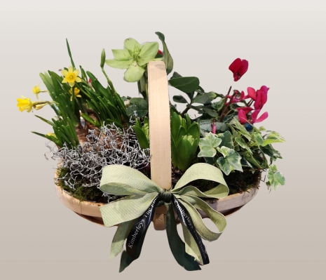 trug basket planter gift set 