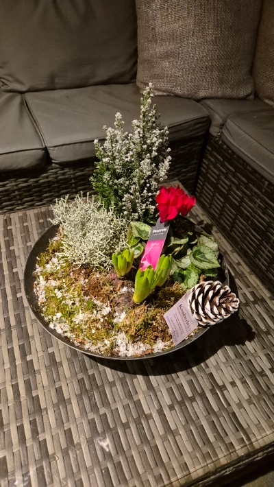 Winter Woodland Planter