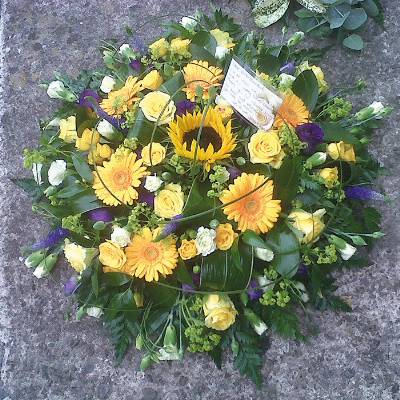 Yellow Posy