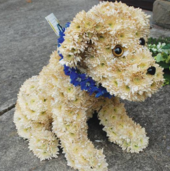 3d Dog shaped funeral tribute based in flowers 