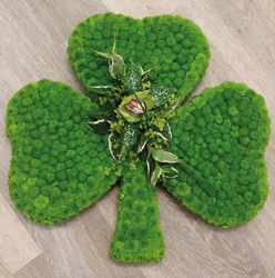 Green Shamrock Funeral Flower Tribute