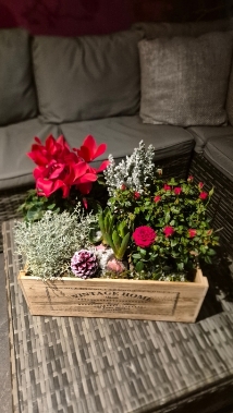 Large Festive Vintage Planter