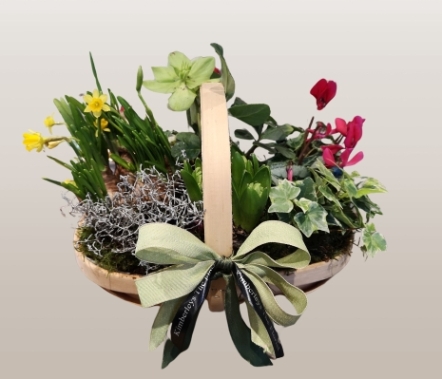 trug basket planter gift set 
