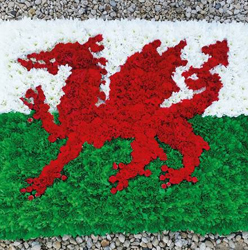 Welsh flag flower funeral tribute
